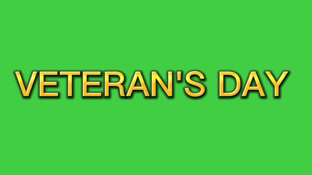 感谢老兵们向所有为蓝色动画服务的人致敬 伟大的退伍军人日庆祝仪式 横幅和传单 动漫谢谢老兵们 阿尔法 — 图库视频影像