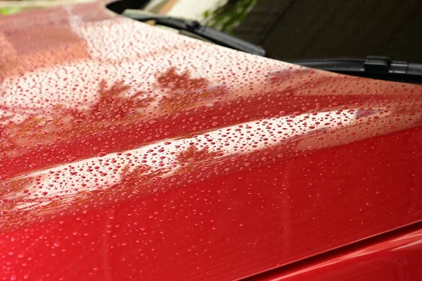 Islak Kırmızı Araba Ulaşım Endüstrisi — Stok fotoğraf