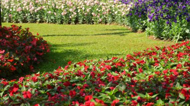 Bahçedeki güzel çiçek ve yeşil çimenler
