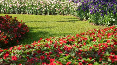 Bahçedeki güzel çiçek ve yeşil çimenler