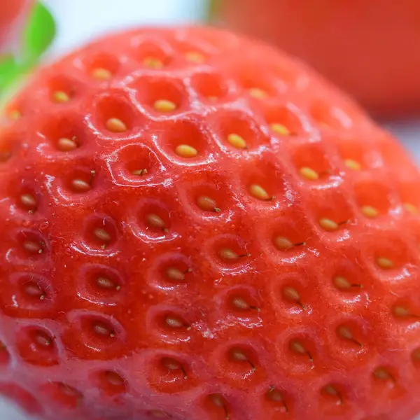 Closeup Beautiful Fresh Red Strawberry Texture Skin Fruit — 图库照片