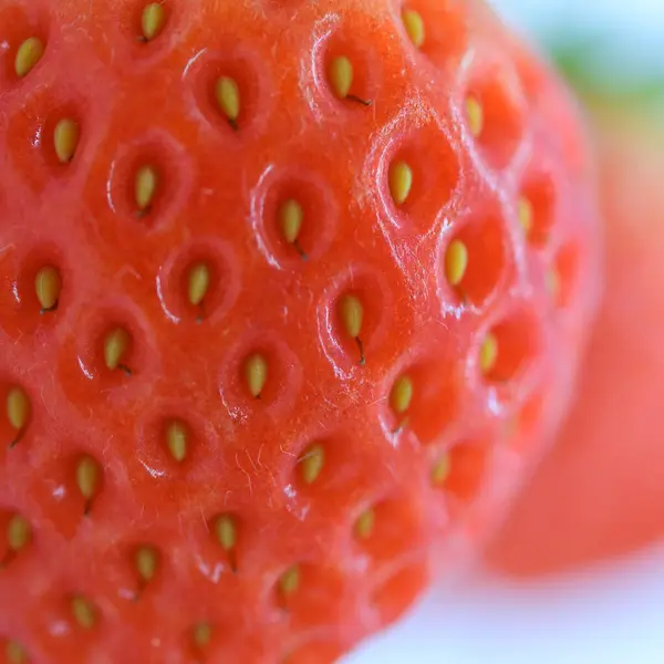 Closeup Beautiful Fresh Red Strawberry Texture Skin Fruit — Foto Stock