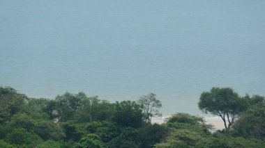 Güzel tropikal plaj büyük ağaçlar ve plaj ağaçları, turkuaz okyanuslar yaz günü dinlenmek için arka plan