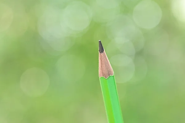 sharp green pencil on blur nature background with bokeh