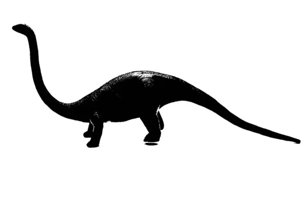 Silhouette Dinosaure Noir Isolé Sur Fond Blanc Modèle Jouet Dinosaures — Photo