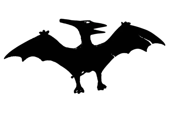 Silueta Dinosaurio Negro Aislado Sobre Fondo Blanco Modelo Juguetes Pteranodon — Foto de Stock