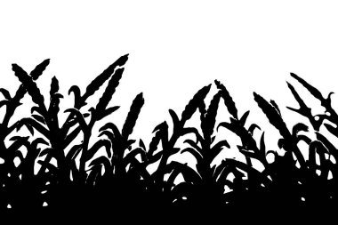 Beyaz arkaplanda izole edilmiş siyah çimen silueti