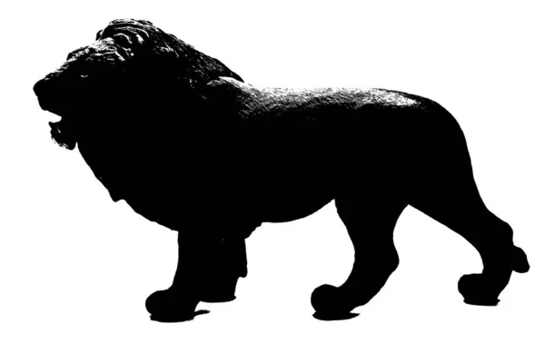 Silhouette Lion Mâle Debout Sur Fond Blanc — Photo