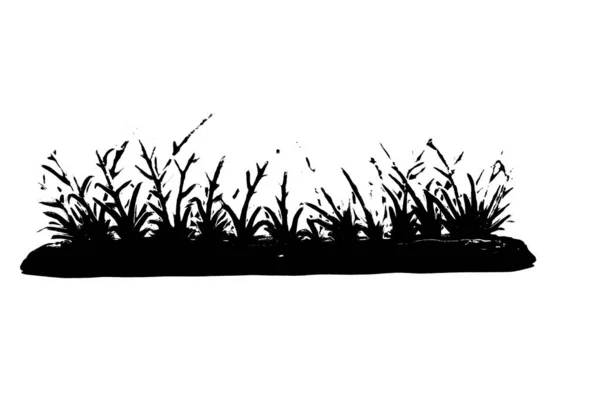 Черный Силуэт Травы Изолированы Белом Фоне — стоковое фото