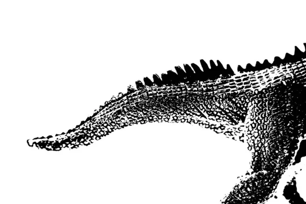 Silueta Dinosaurio Negro Aislado Sobre Fondo Blanco Modelo Juguete Giganotosaurus —  Fotos de Stock