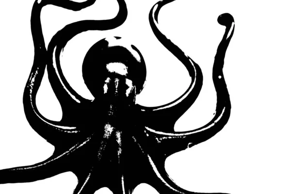 Black Silhouette Octopus Isolated White Background Invertebrate Animal — Stock Photo, Image