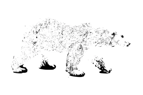 Силуэт Большой Медвежий Стенд Модели Изолированы Белом Фоне — стоковое фото
