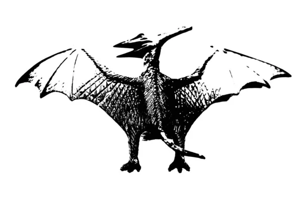 从白色背景分离出来的黑色恐龙轮廓 翼龙玩具模型 — 图库照片