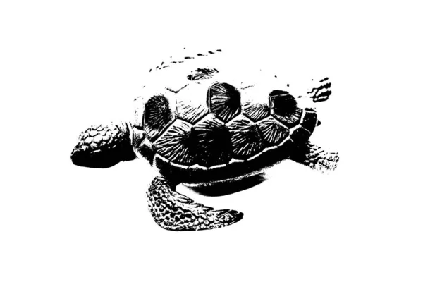 Svart Silhuett Sköldpadda Isolerad Vit Bakgrund Reptil Djur — Stockfoto