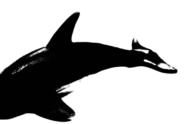 Černá Silueta Ryb Ploutví Ocasem Izolované Bílém Pozadí — Stock fotografie