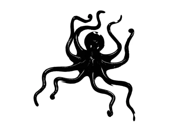 无脊椎动物 在白色背景上分离的章鱼黑色轮廓 — 图库照片