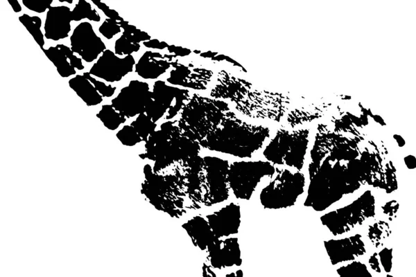 Silueta Žirafy Model Stojan Izolovaný Bílém Pozadí — Stock fotografie