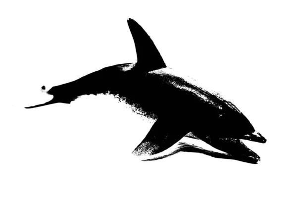 Silueta Negra Delfín Aislado Sobre Fondo Blanco Criatura Marina —  Fotos de Stock