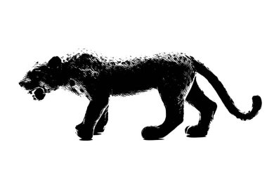 Dişi aslan modelinin silueti beyaz arka planda duruyor