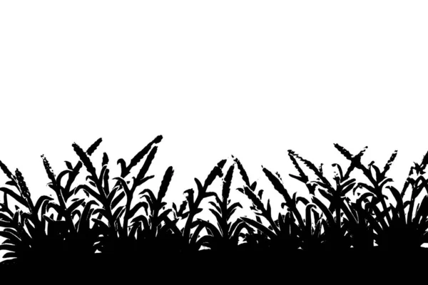 白い背景に隔離された草の黒いシルエット — ストック写真