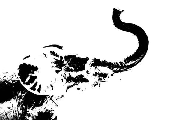 Silhouet Van Olifantenmodel Staan Geïsoleerd Witte Achtergrond — Stockfoto