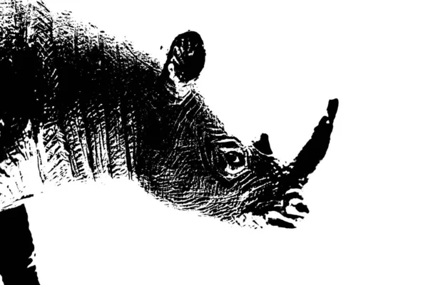 Σιλουέτα Σταντ Μοντέλο Ρινόκερου Απομονωμένο Λευκό Φόντο — Φωτογραφία Αρχείου