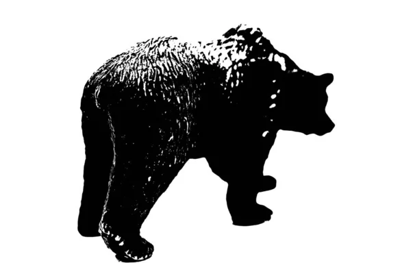 Σιλουέτα Του Μοντέλου Μεγάλη Αρκούδα Σταθεί Απομονωμένο Λευκό Φόντο — Φωτογραφία Αρχείου