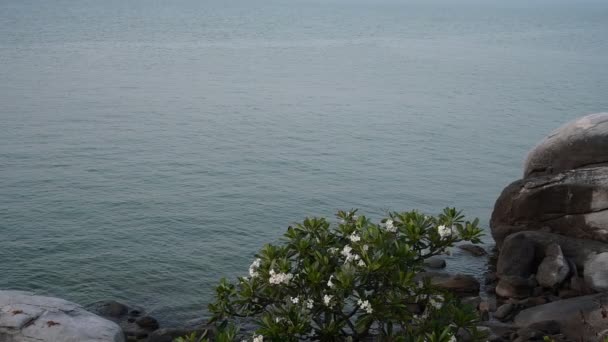灰色石头和海景 水波缓慢 自然背景美丽 — 图库视频影像