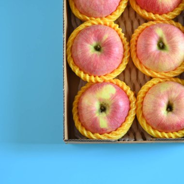 beautiful pink apple in the box on blue background