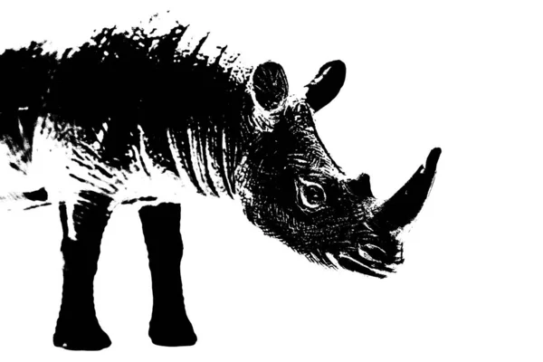 Silhueta Rinoceronte Modelo Stand Isolado Sobre Fundo Branco — Fotografia de Stock
