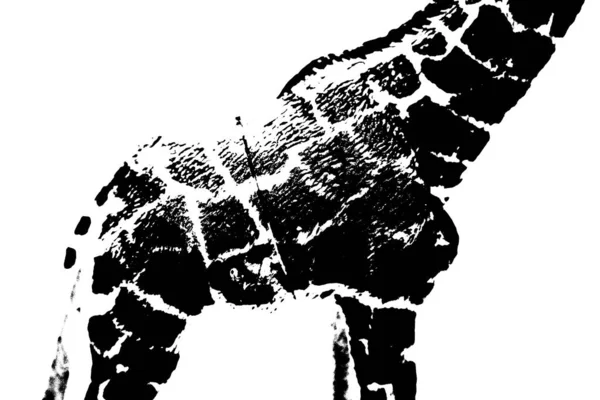 Силуэт Модели Жирафа Стоять Изолированы Белом Фоне — стоковое фото