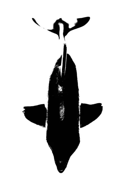 Silhueta Preta Peixes Com Barbatana Cauda Isolada Sobre Fundo Branco — Fotografia de Stock