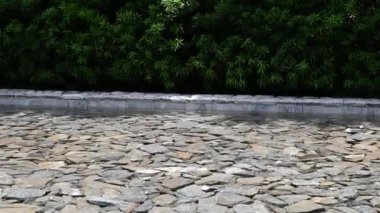 Çeşme suyu bahçede yeşil ağaçla kaya zemininde.