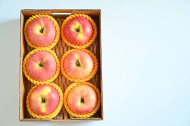 beautiful pink apple in the box on blue background