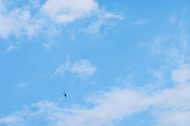 Güzel mavi gökyüzü ve beyaz kabarık bulut Sabah güneş doğuyor, doğal arkaplan