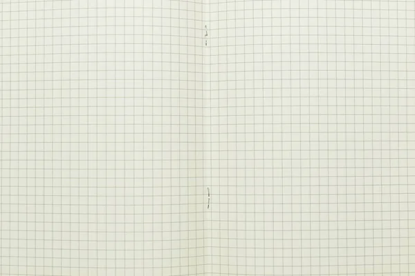 Bovenaanzicht Afbeelding Van Open Planner Notebook Met Blanco Pagina Bekleed — Stockfoto