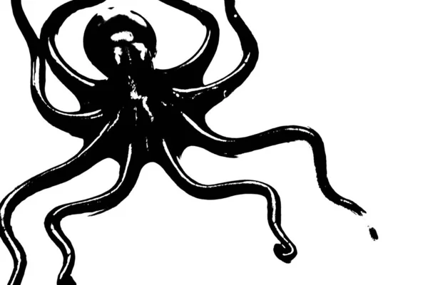 Black Silhouette Octopus Isolated White Background Invertebrate Animal — Stock Photo, Image