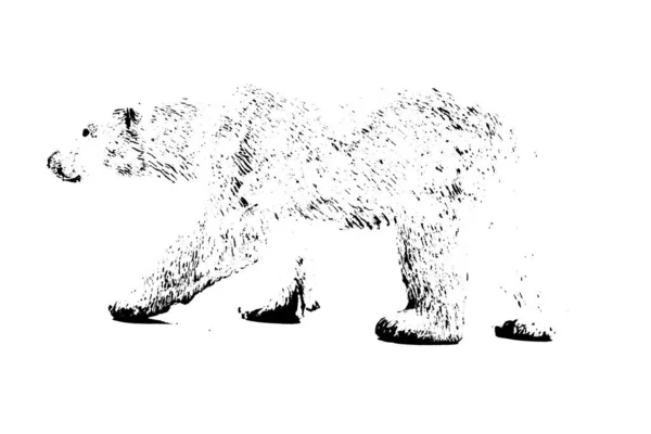 Silhouette Grande Stand Modello Orso Isolato Sfondo Bianco — Foto Stock