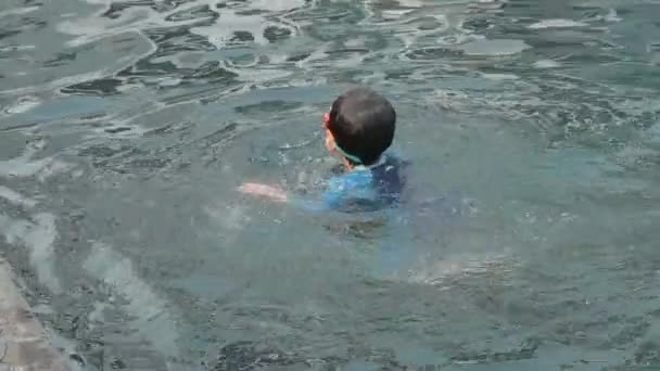 Chłopiec Cieszący Się Letnimi Wakacjami Szczęśliwe Dziecko Pływające Basenie Scena — Wideo stockowe
