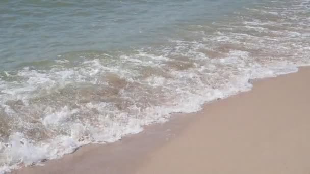 Slow Motion Scena Piękny Widok Piaszczysta Plaża Wybrzeża Morskiego — Wideo stockowe