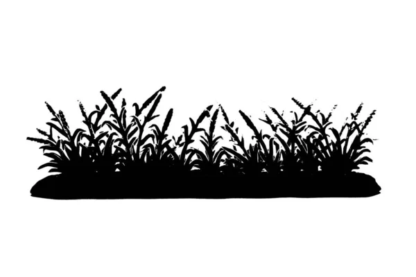 Черный Силуэт Травы Изолированы Белом Фоне — стоковое фото