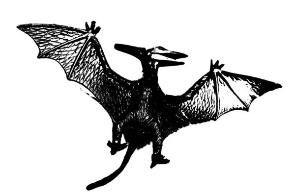 从白色背景分离出来的黑色恐龙轮廓 翼龙玩具模型 — 图库照片