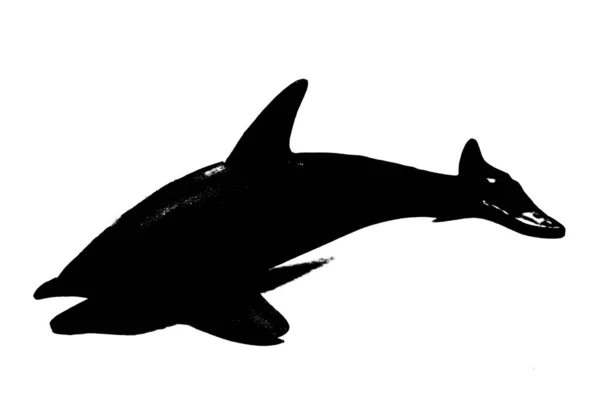 Silueta Negra Delfín Aislado Sobre Fondo Blanco Criatura Marina —  Fotos de Stock