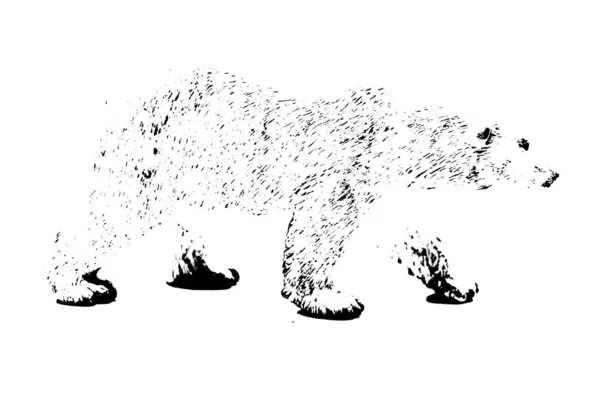 Siluet Model Beruang Besar Berdiri Terisolasi Latar Belakang Putih — Stok Foto