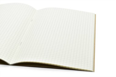 beyaz arkaplanda izole edilmiş çizgili kağıt ile boş açık defter