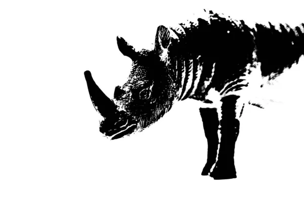 Silhouette Rhinoceros Model Stand Isolated White Background — Stock Photo, Image