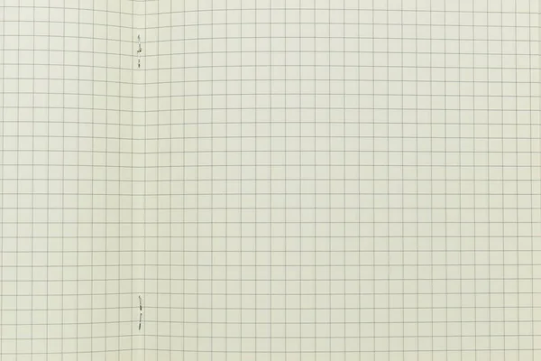 Widok Góry Obraz Otwarty Planer Notebook Pustą Stroną Podszewka Papier — Zdjęcie stockowe