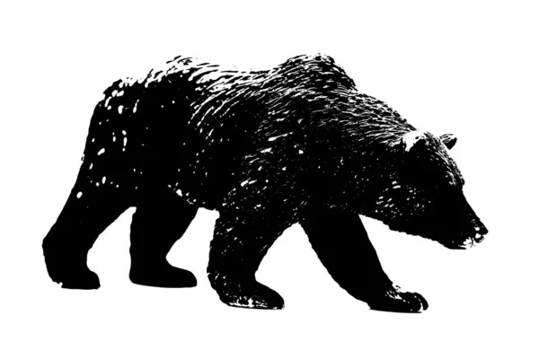 Silhueta Urso Grande Modelo Stand Isolado Fundo Branco Fotografias De Stock Royalty-Free