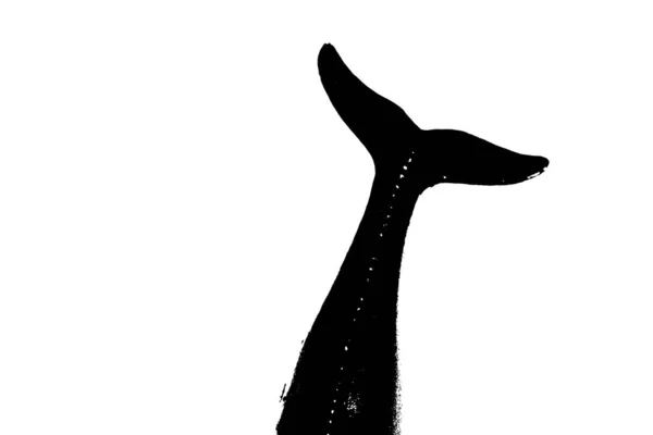 Schwarze Silhouette Des Fischschwanzes Isoliert Auf Weißem Hintergrund — Stockfoto