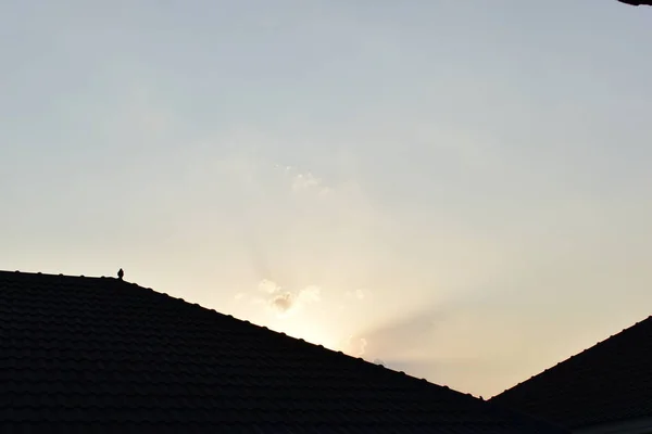 Vogel Auf Dach Haus Sonnenaufgang Himmel Und Wolken Morgen Sonnenuntergang — Stockfoto
